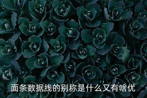 skewrons是什么牌子，skewrons是什么意思