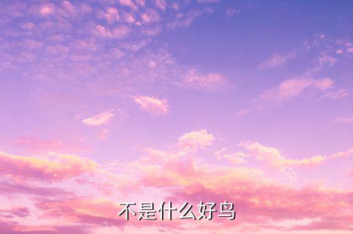 孟兵不是什么好鳥，不是什么好鳥