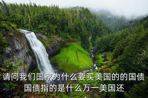 請(qǐng)問(wèn)我們國(guó)家為什么要買(mǎi)美國(guó)的的國(guó)債國(guó)債指的是什么萬(wàn)一美國(guó)還