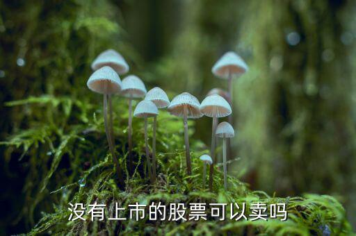 沒上市的股權(quán)證什么時候可以賣錢，新股如果中簽了沒上市能賣出