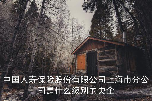 市屬國企是什么級別，省屬和市屬企業(yè)的界定標(biāo)準(zhǔn)是什么