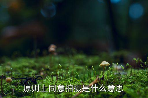 原則上同意是什么意思，原則上同意是什么意思
