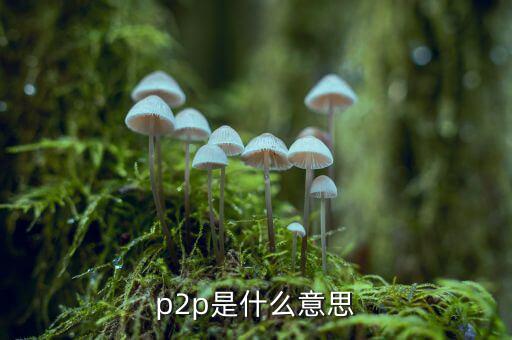 p2p公司是什么意思，P2P公司是什么意思