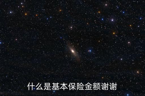 什么叫基本保險(xiǎn)金額，基本保險(xiǎn)金額是什么意思