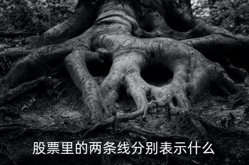 股票伴侶線代表什么，股票行情圖線的意義