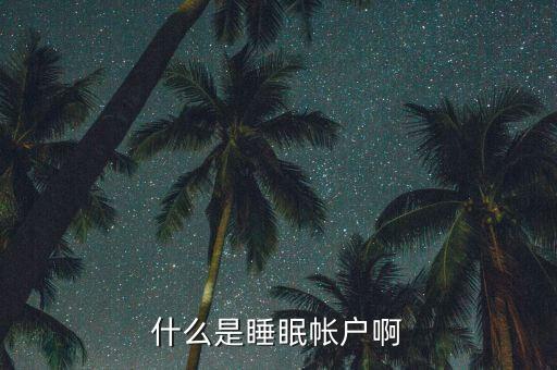 什么是睡眠賬戶，什么是睡眠帳戶啊