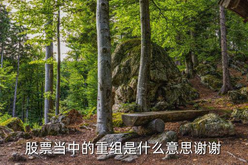 什么是重組，重組在電腦術(shù)語(yǔ)中什么意思
