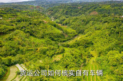 貨運(yùn)資產(chǎn)是什么意思，貨運(yùn)公司如何核實(shí)自有車(chē)輛
