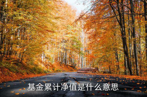 基金累計(jì)凈值是什么意思，基金凈值累計(jì)凈值各指什么