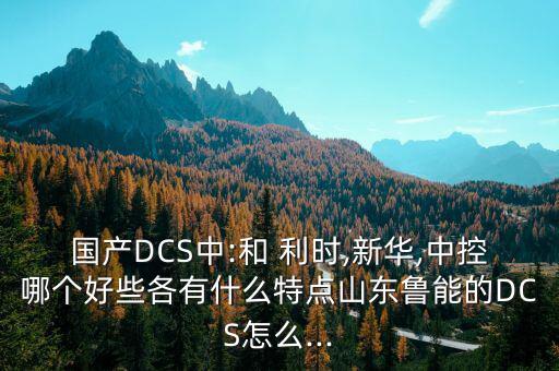 國產(chǎn)DCS中:和 利時(shí),新華,中控哪個(gè)好些各有什么特點(diǎn)山東魯能的DCS怎么...
