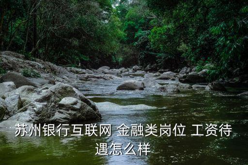 蘇州銀行互聯(lián)網 金融類崗位 工資待遇怎么樣