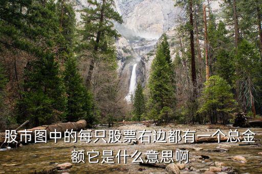 股市圖每只股票的總量是什么意思，股票總量是什么意思