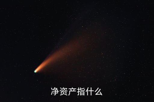 凈資產(chǎn)是什么意思，凈資產(chǎn)指什么
