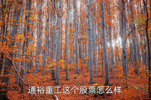 通裕重工是什么板塊，通裕重工這個股票怎么樣