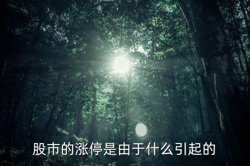 股票漲停跟什么有關(guān)系，股票開盤就漲停受什么因素影響能否具體回答