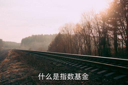 什么是指數(shù)基金，什么是指數(shù)基金