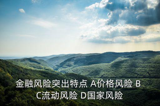 金融風(fēng)險(xiǎn)有什么特征，試述國際金融風(fēng)險(xiǎn)的特征