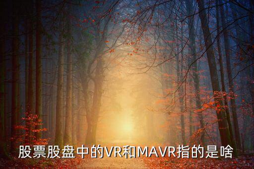 vr股是什么，股票股盤中的VR和MAVR指的是啥