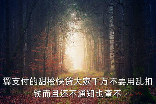甜橙快貸資源未找到是什么意思，翼支付的甜橙快貸大家千萬不要用亂扣錢而且還不通知也查不