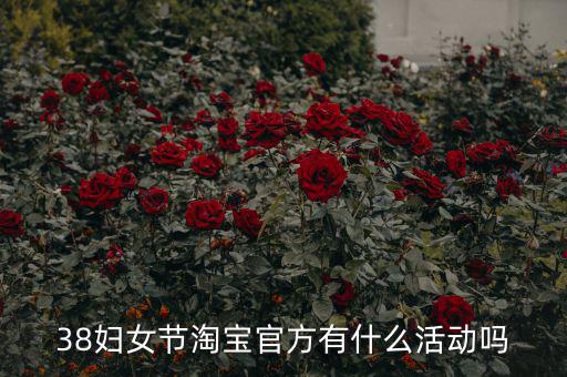 三八婦女節(jié)各個(gè)電商有什么活動(dòng)，淘寶店在三八節(jié)可以搞些什么活動(dòng)
