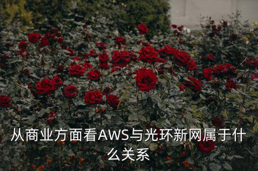 從商業(yè)方面看AWS與光環(huán)新網(wǎng)屬于什么關系
