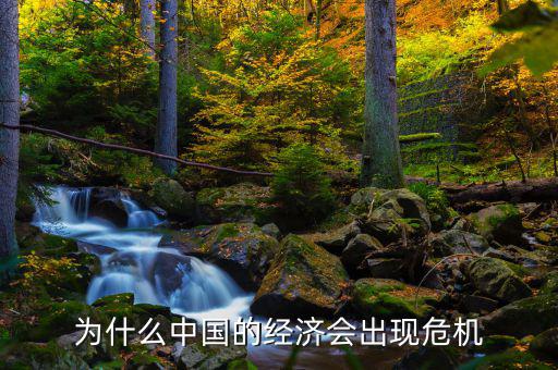 為什么中國(guó)將發(fā)生經(jīng)濟(jì)危機(jī)，中國(guó)為什么會(huì)面臨經(jīng)濟(jì)危機(jī)