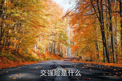 什么是交強(qiáng)險(xiǎn)，交強(qiáng)險(xiǎn)是什么