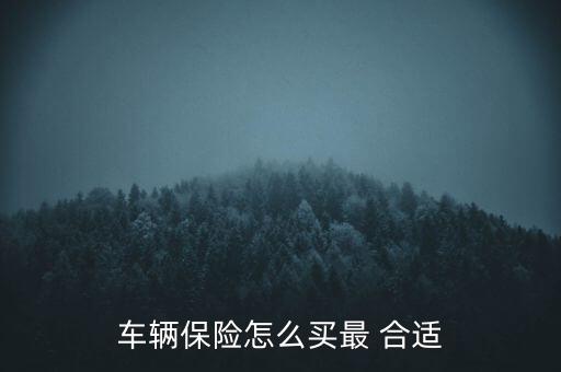 車(chē)輛保險(xiǎn)怎么買(mǎi)最 合適