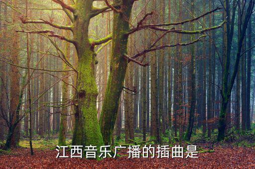 江西高速之歌是什么，江西音樂(lè)廣播的插曲是