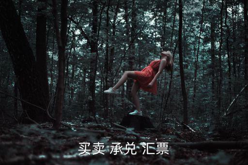 買(mǎi)賣(mài) 承兌 匯票