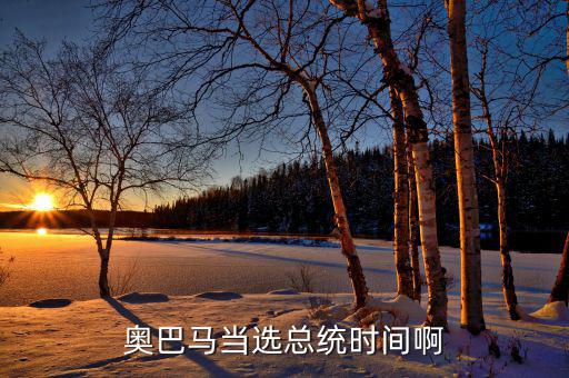 奧巴馬當選總統(tǒng)時間啊