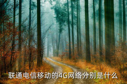 聯(lián)通混合組網(wǎng)什么意思，為什么我的聯(lián)通卡顯示H是什么意思