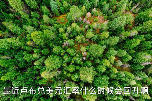 盧布什么時(shí)候能回升，最近盧布兌美元匯率什么時(shí)候會(huì)回升啊