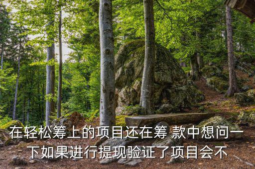 輕松籌提現(xiàn)有什么審核，輕松籌審核條件