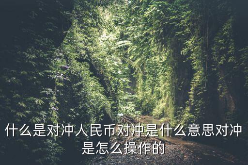 什么是基金a基金b對沖，什么是對沖人民幣對沖是什么意思對沖是怎么操作的