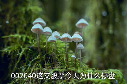 002040這支股票今天為什么停盤(pán)