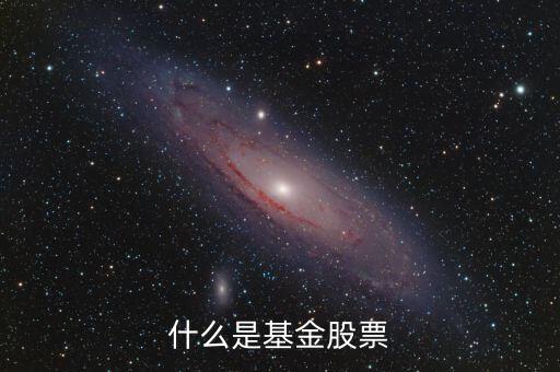 什么是基金股，什么叫基金股