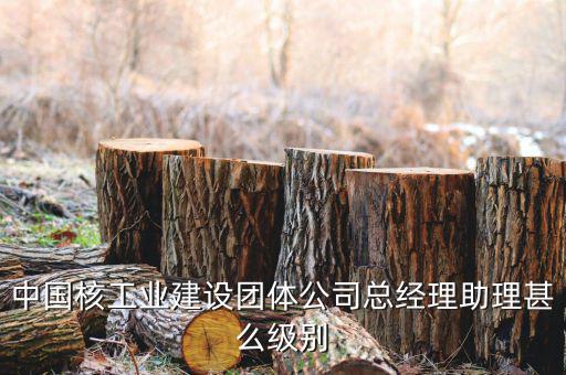 中國(guó)核工業(yè)集團(tuán)什么級(jí)別，中國(guó)核工業(yè)建設(shè)團(tuán)體公司總經(jīng)理助理甚么級(jí)別