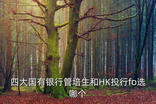 四大去投行有什么優(yōu)勢，女 研究生畢業(yè)想進(jìn)投行 考研想考北大 清華 復(fù)旦或者香港大學(xué) 請問這四