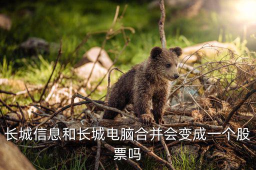 長城信息和長城電腦合并會變成一個(gè)股票嗎