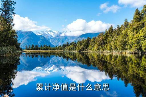 累計(jì)凈值是什么意思，累計(jì)凈值是什么意思
