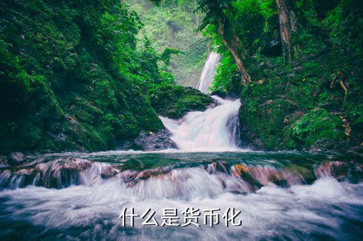 什么是貨幣化改革，實(shí)行貨幣化改革是什么意思