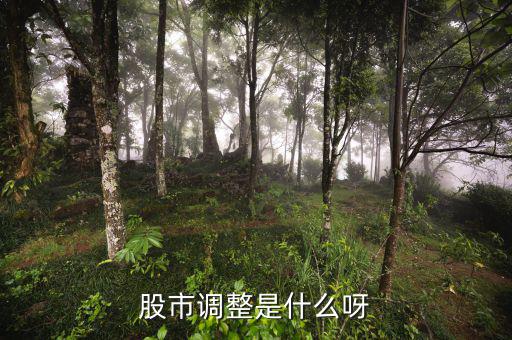 股市調(diào)整是什么意思，經(jīng)常有聽到股票調(diào)整是什么意思啊