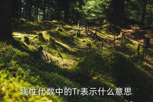 一陽(yáng)穿四線說(shuō)明什么，一陽(yáng)穿四線成交增量的股票會(huì)漲嗎
