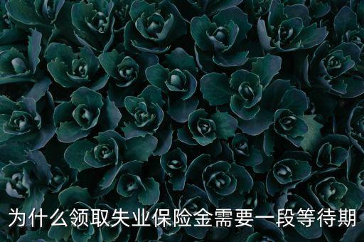 失業(yè)保險為什么應(yīng)設(shè)等待期限，為什么領(lǐng)取失業(yè)保險金需要一段等待期