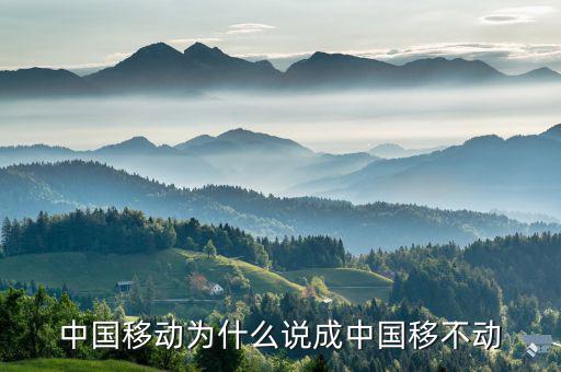 中國移動為什么不轉(zhuǎn)型，中國移動n1屏幕怎么不旋轉(zhuǎn)