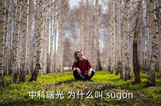 2014中科曙光什么時(shí)候上市的，股票為什么要選中科曙光