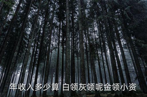 年收入多少算 白領灰領呢金領小資