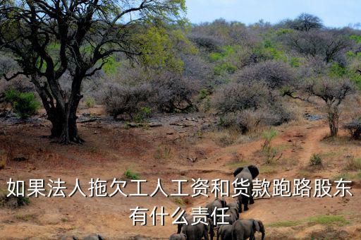 法人跑路屬于什么罪，申請勞動仲裁被告用人單位法人代表逃跑了怎么辦他將背負什么罪