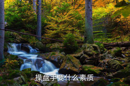 操盤手有什么要求，操盤手要什么素質
